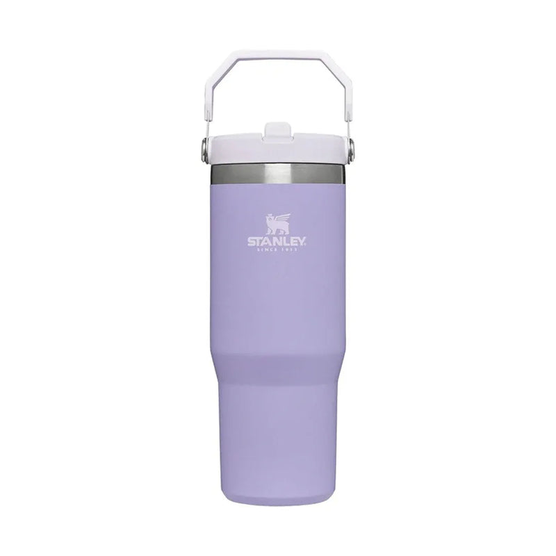 Stanley Adventure Classic Iceflow Flip Straw 30oz Tumbler