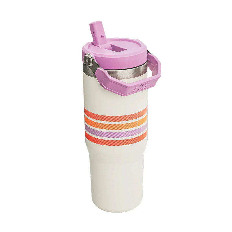 Stanley Adventure Varsity Iceflow Flip Straw 30oz Tumbler